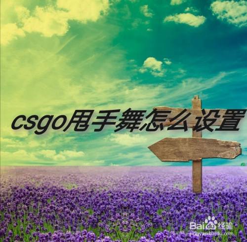 csgo甩手舞怎么设置