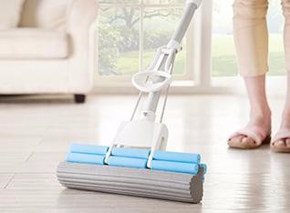 猫有绦虫家里怎么消毒