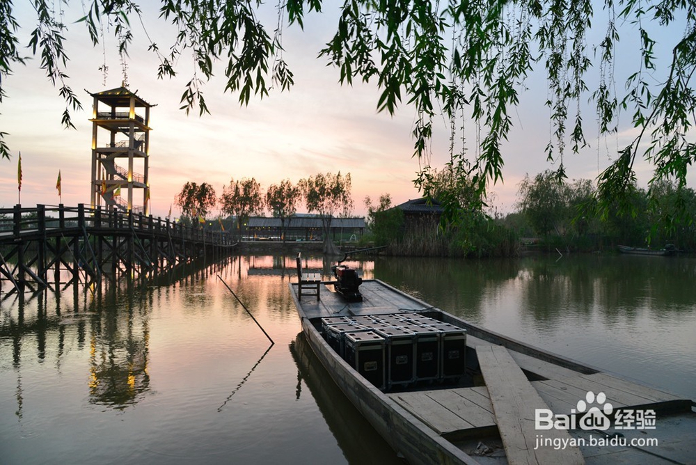 江苏高邮最美生态湿地——高邮湖芦苇荡湿地公园