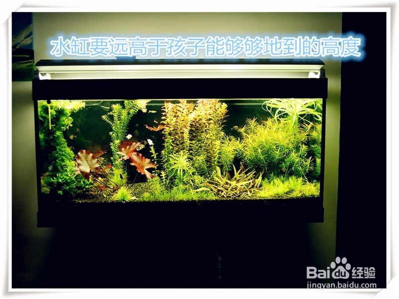 家里保证孩子安全的几种安全措施