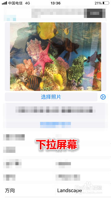 苹果手机怎么查看照片大小