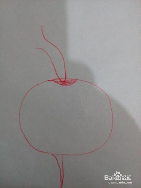 怎样简笔画萝卜