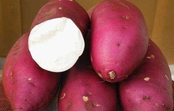 苹果和地瓜可以一起吃吗