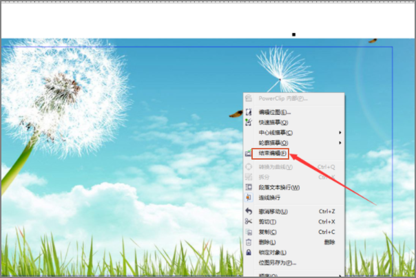 cdr中,怎么把一张图片放到文本框中