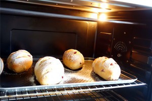 烤熟的榛子仁和酒渍蔓越莓怎么乳酪软欧