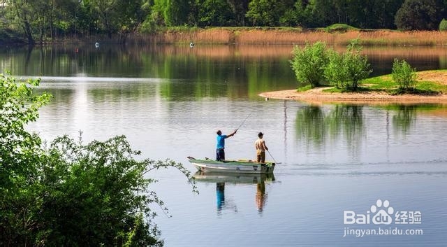 南方立春后阴雨天气如何钓鱼