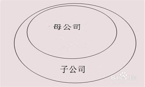母公司如何控制子公司