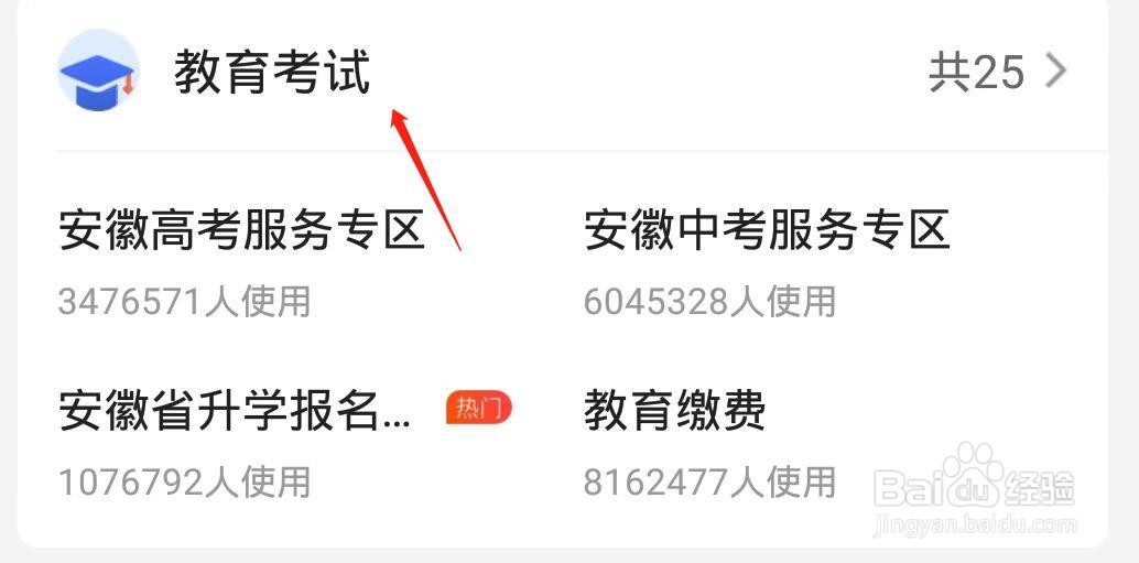 合肥小学报名网上怎么报