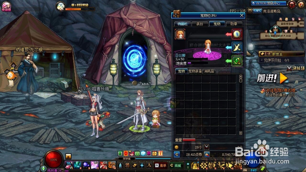 DNF宠物更名卡怎么用？