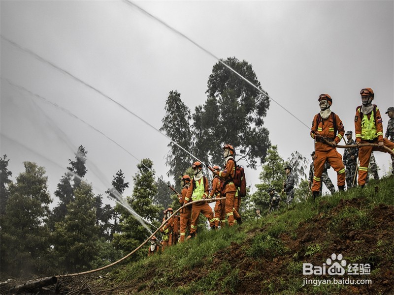 森林火灾常用的扑火方法