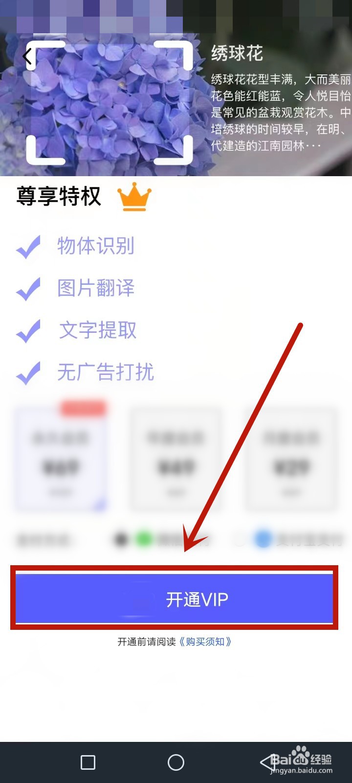 识花君怎么不识别花了