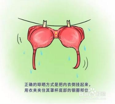 洗内衣该注意什么？