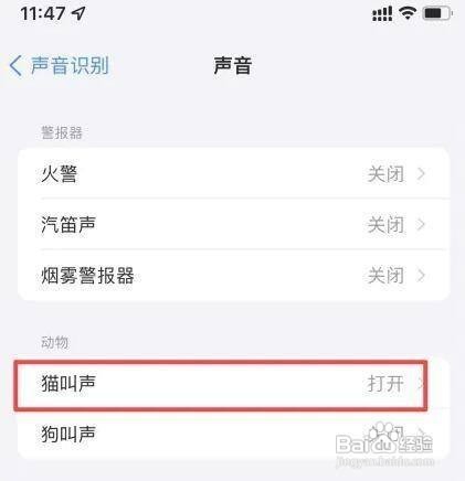 iPhone12手机如何设置开启声音识别功能呢