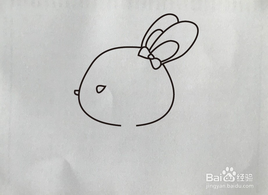 怎样画小白兔简笔画