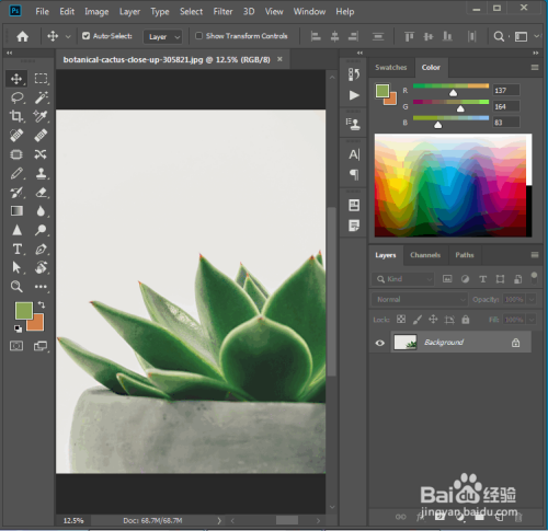 ps怎么保存透明背景(一)
