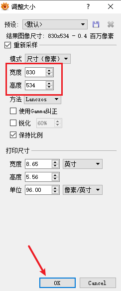 XnViewMP 如何调整图像大小