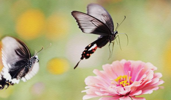 女人说顺其自然什么意思