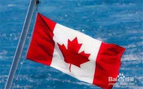 加拿大温哥华生子费用大致有几个板块?