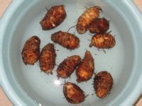 双椒芋艿的做法