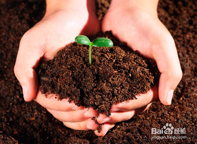 黄腐酸钾好用吗？黄腐酸钾防治土壤质地问题