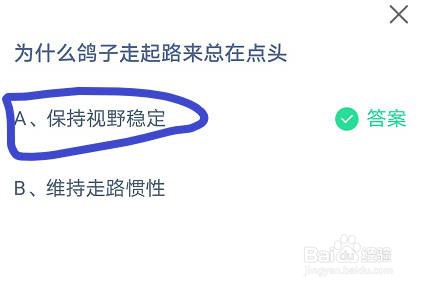 为什么鸽子走起路来总在点头