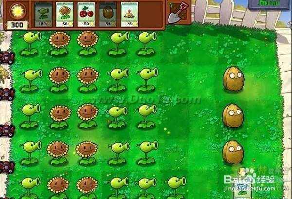 《植物大战僵尸》第一大关详细流程攻略