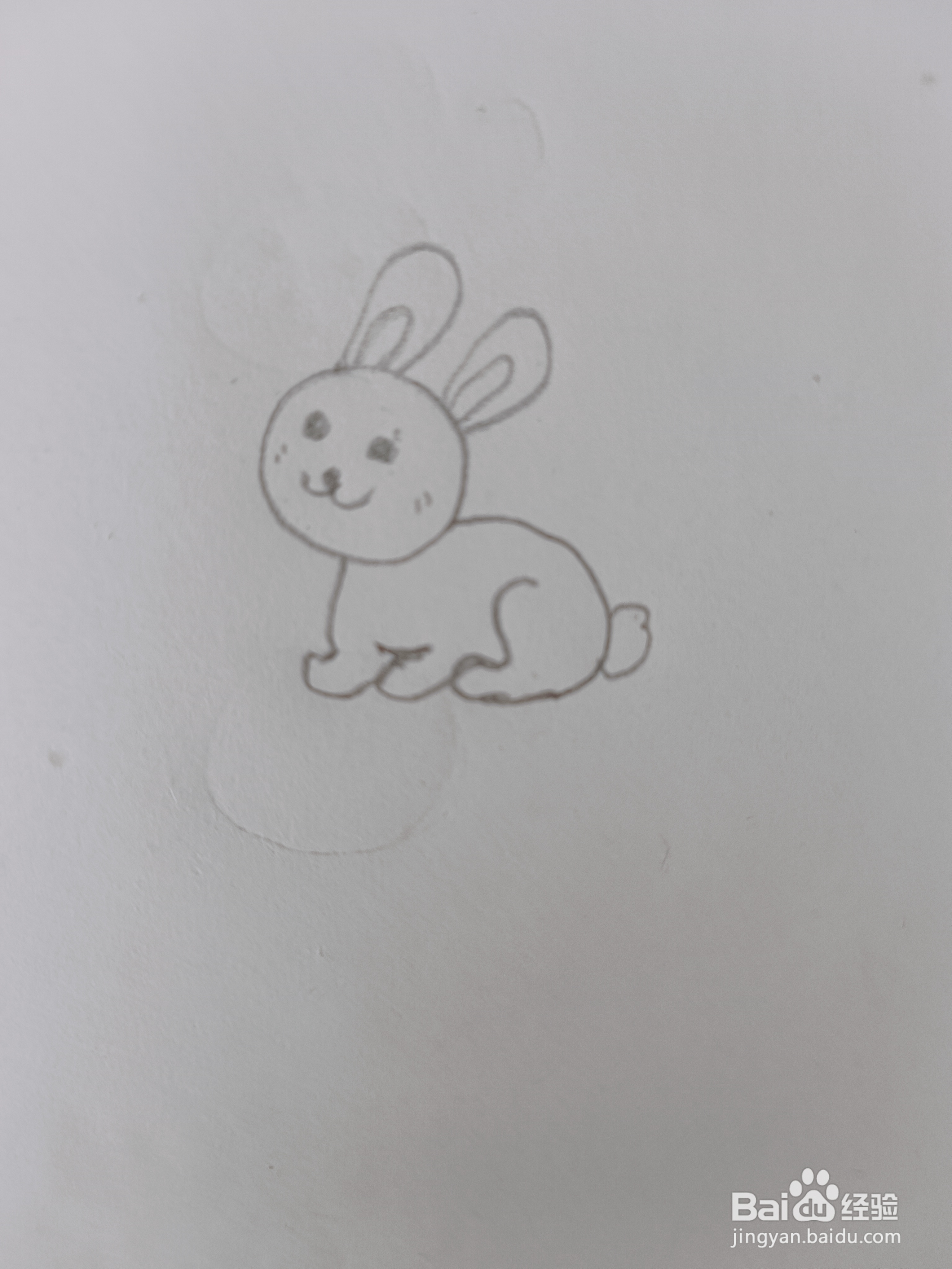 兔子的简单画法