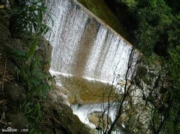 白色的鞋洗了，放外面干后有黄点，怎么办？？