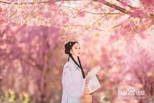 桃花树下如何拍照