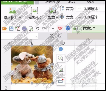 WPS表格插入图片如何随单元格改变而改变