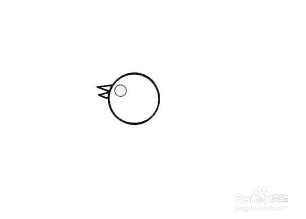 母鸡简笔画分步画法