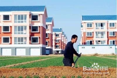 临沂农村没有宅基地怎么办