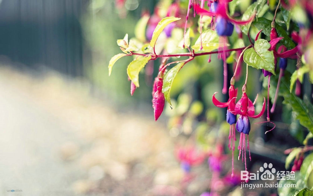 急性支气管炎症状