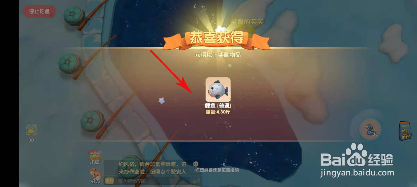 摩尔庄园鲤鱼在哪钓