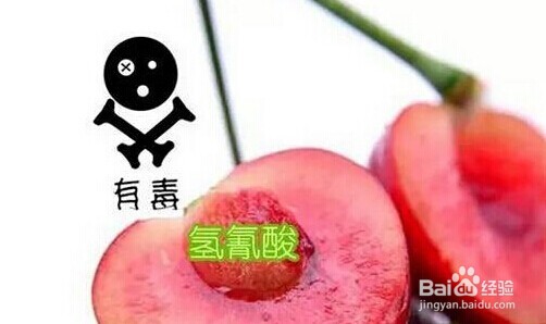 不小心把樱桃核吞下去了怎么办