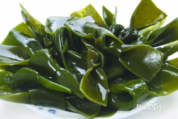 吃哪些食物有刮油的效果