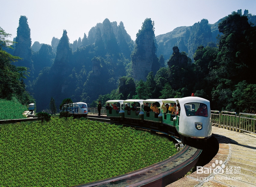 长沙到张家界自助游攻略