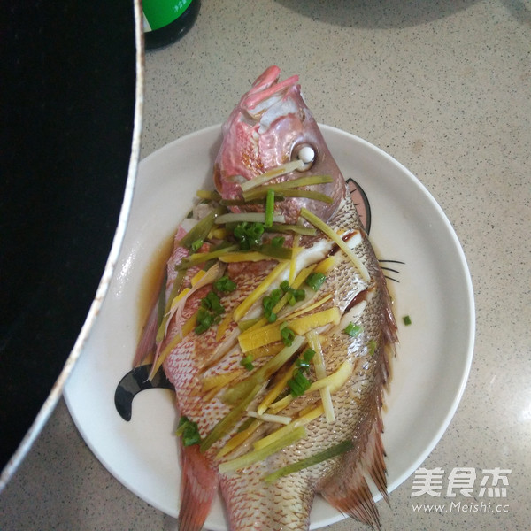 清蒸红友鱼的做法