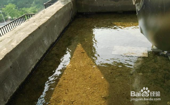 顶楼降温最有效的方法