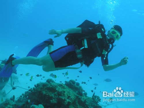 三亚潜水分类