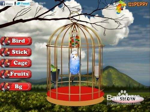 装饰鸟笼小游戏怎么玩?