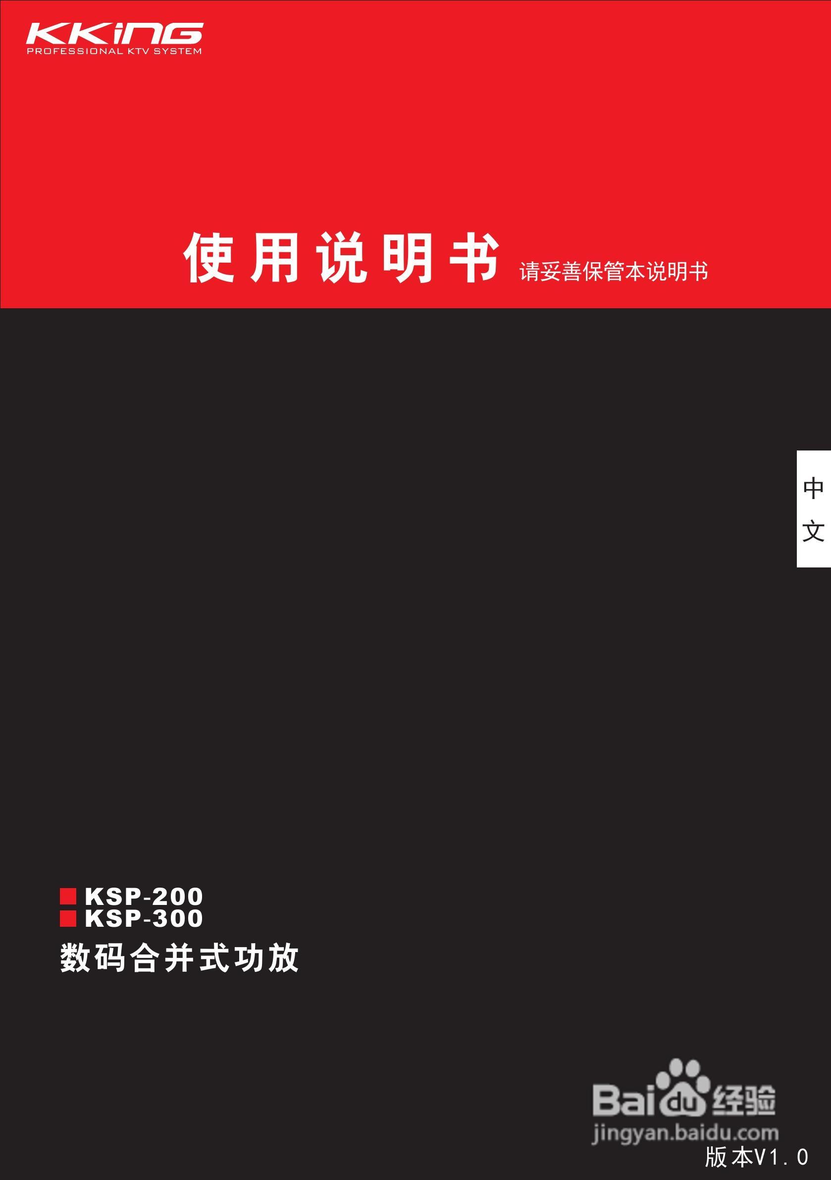 kking KSP-200/300 DSP处理器使用说明书