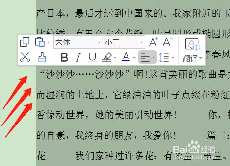 文档怎么全选文字