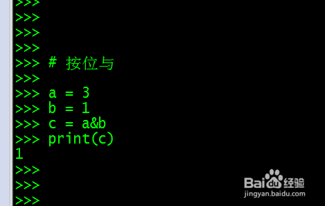 Python 位操作的基本运算和技巧