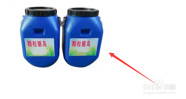 如何防止野鸡刨食玉米种