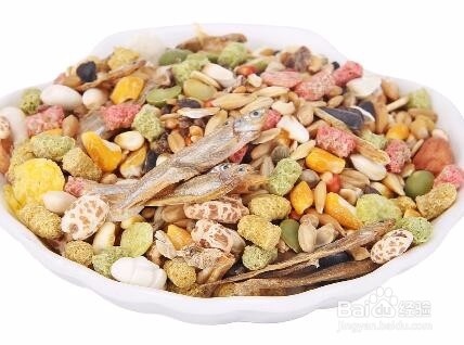 仓鼠粮食怎么保存