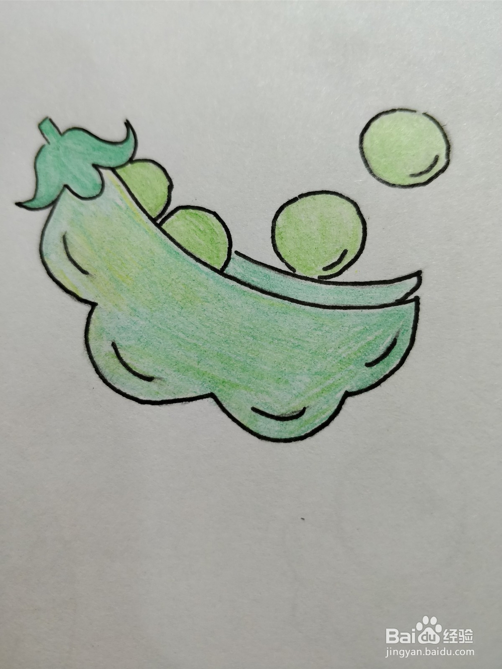 简笔画画豌豆