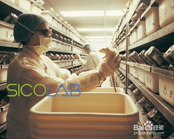 SPF动物房实验室建设方案SICOLAB