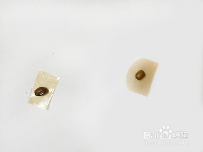 怎样缓解感冒症状