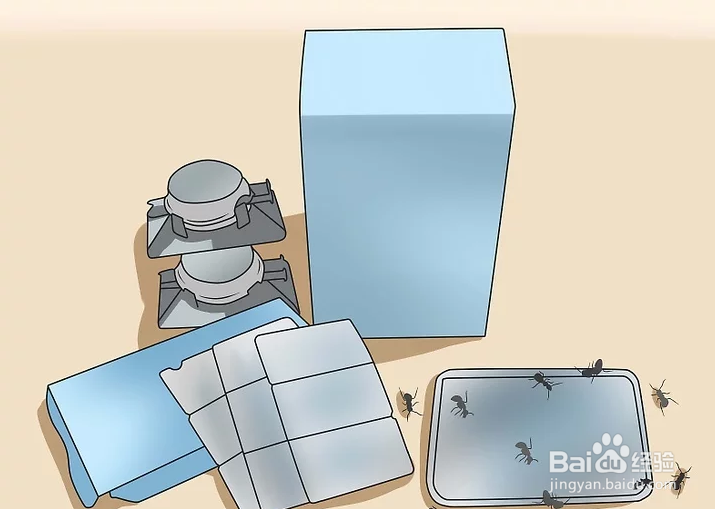 如何消灭黑蚂蚁